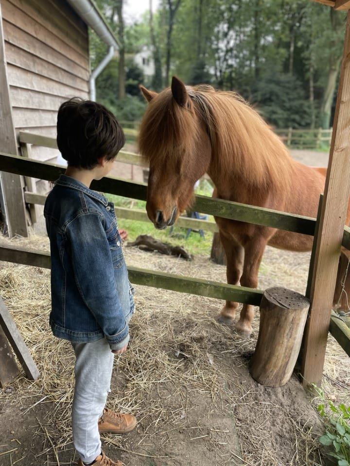 c485fb81-aaf8-4368-b82e-e58e56df8e97